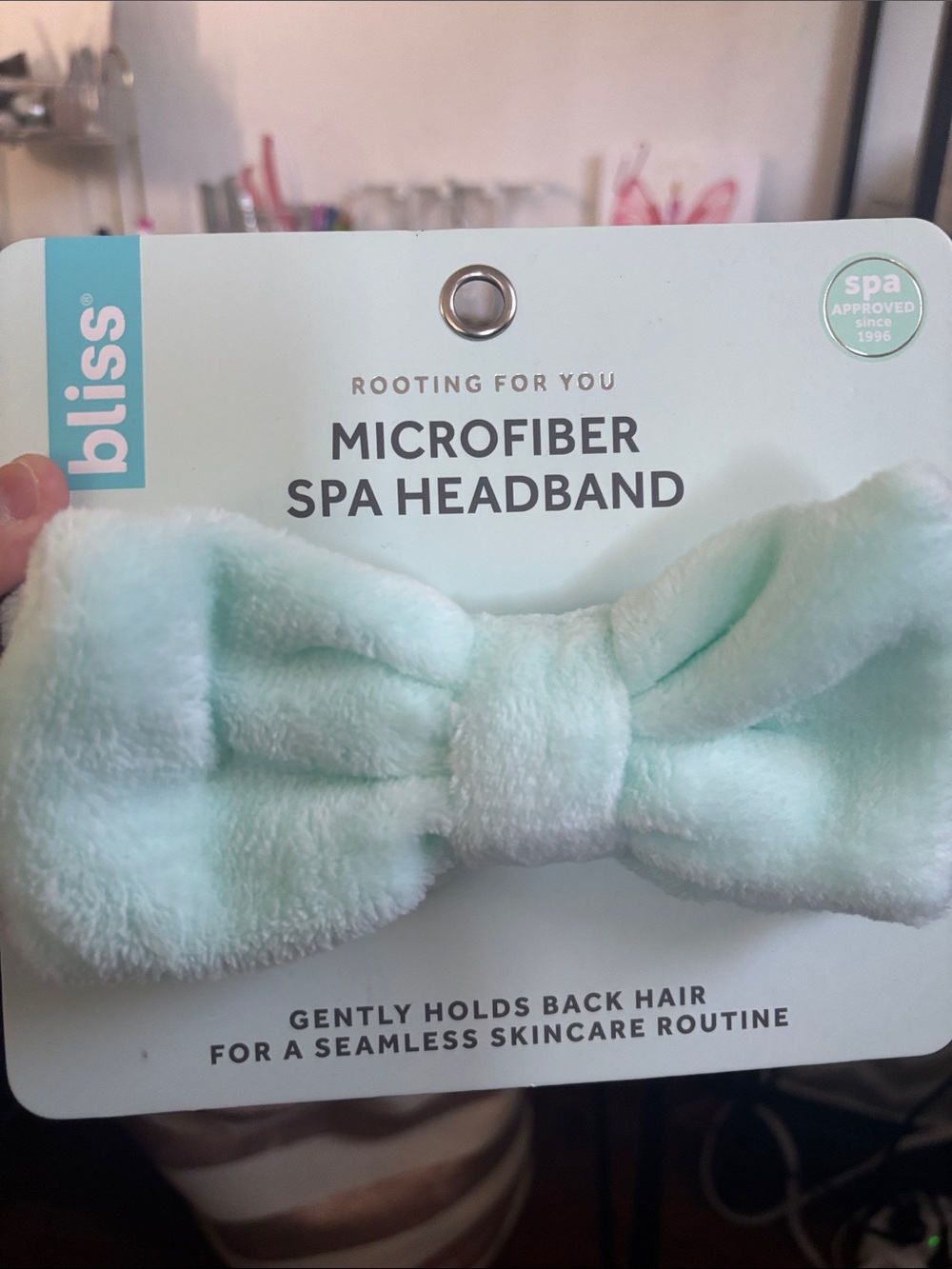 Bliss Plush Microfiber Spa Headband - Mint